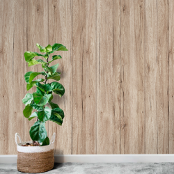 ПАНЕЛЬ МДФ ДУБ САНРЕМО БЕЖЕВЫЙ 2,7*0,2*0,006 (STELLA)