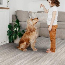 Линолеум IDEAL GLORY MODEST-1