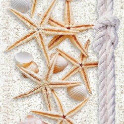 ПАНЕЛЬ ПВХ МОРСКОЙ БРИЗ 2500х250мм (SANRELIA)