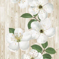 ПАНЕЛЬ ПВХ ЦВЕТ ЯБЛОНИ 2500х250мм (SANRELIA)